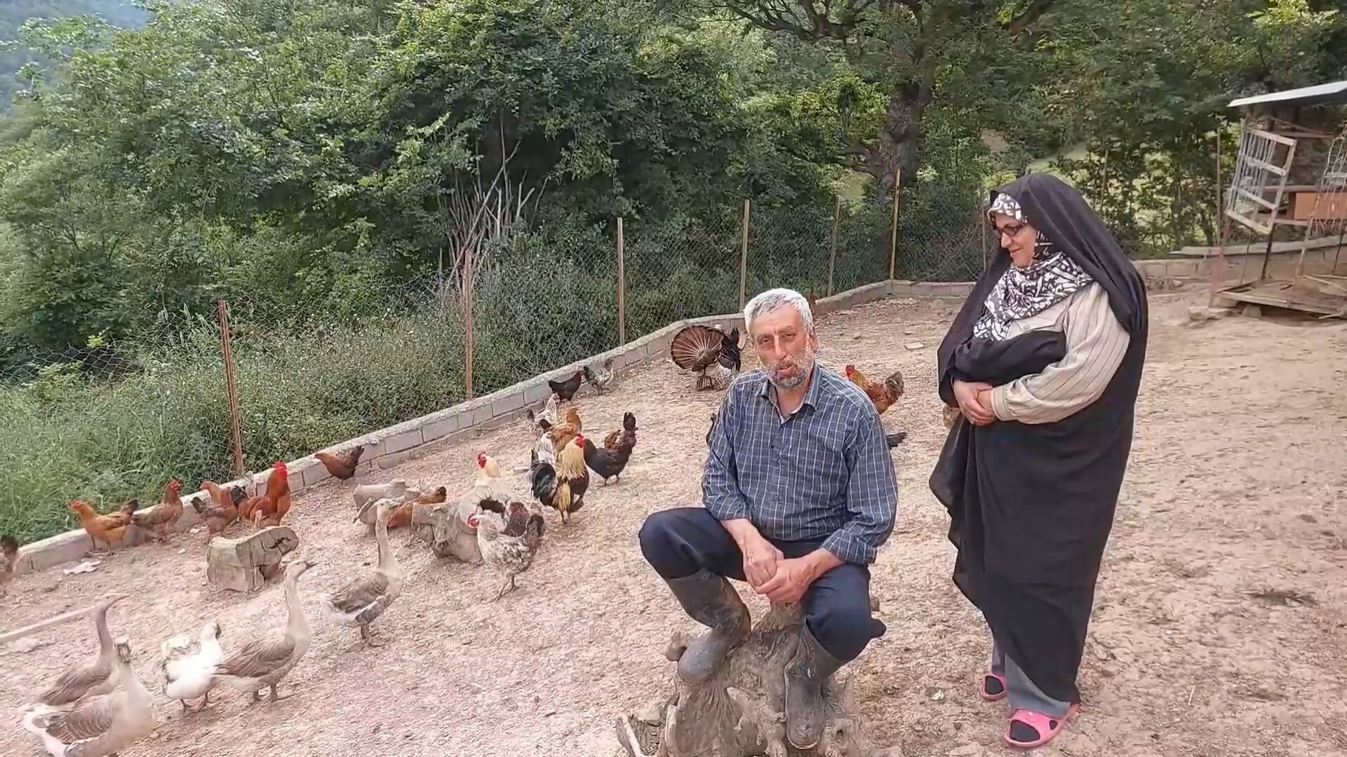 چرخه کامل تولید در روستای کلاریجان سوادکوه