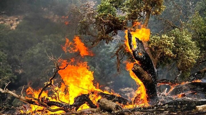 هشدار آتش‌سوزی در جنگل‌ها و مراتع مازندران
