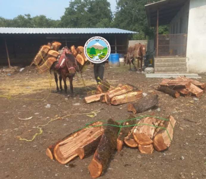 کشف و ضبط چوب‌آلات قاچاق در شهرستان نور