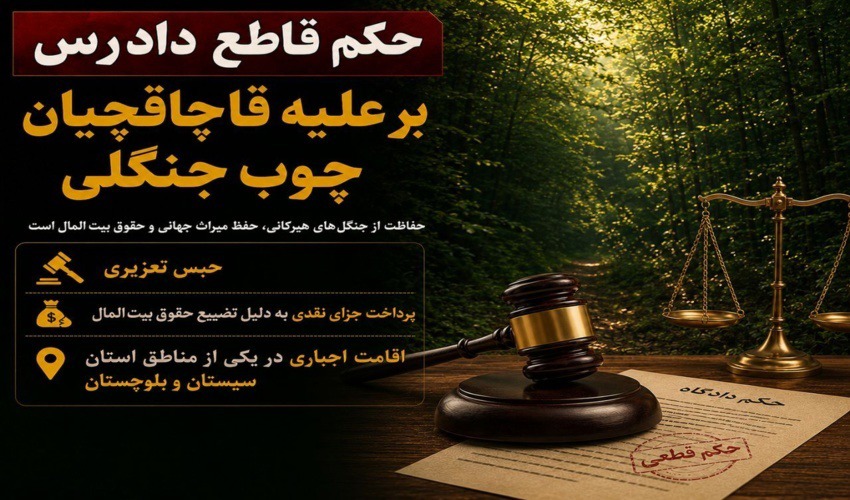 حکم قاطع دادگاه نشتارود علیه متجاوزان به جنگل‌های هیرکانی