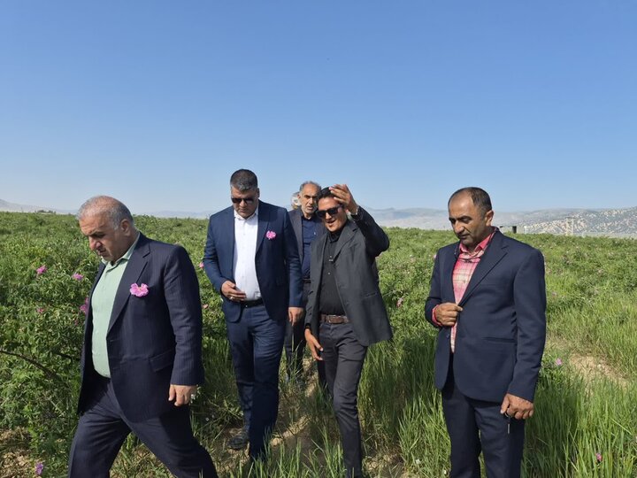 پیام مازند