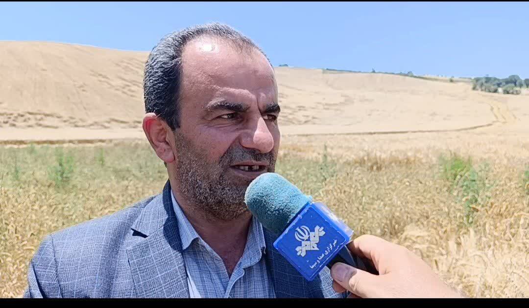 پیام مازند