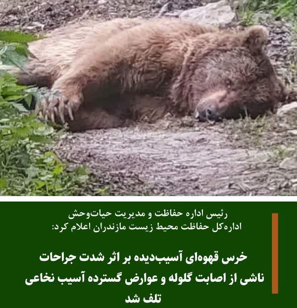 پیام مازند