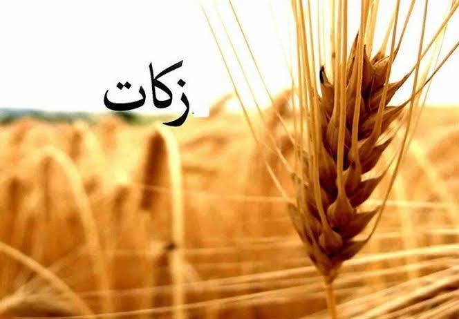 پیام مازند