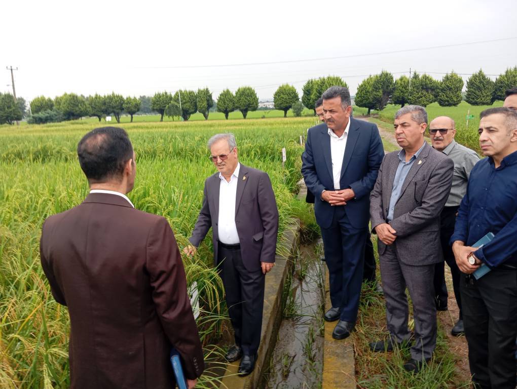 پیام مازند