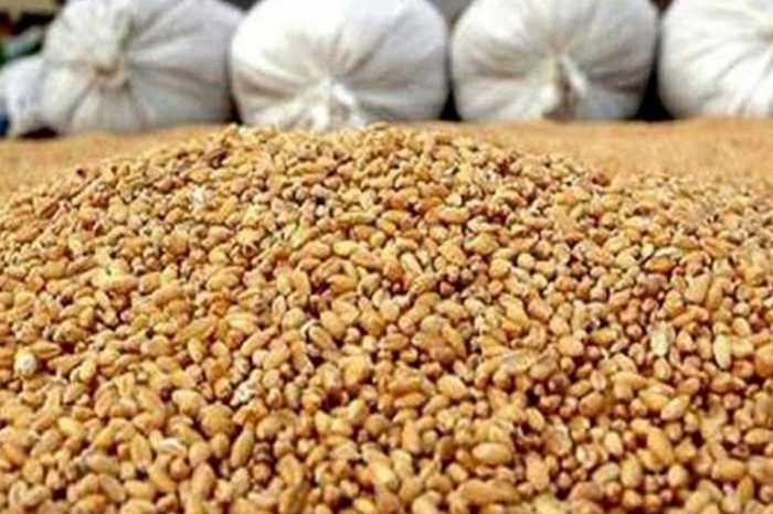 سامانه سبوس گندم تنها مرجع توزیع نهاده دامی