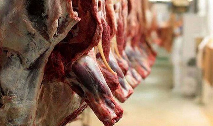 ۱۳ ماه حبس برای متخلف عرضه فرآورده‌های دامی تاریخ‌گذشته در بابل