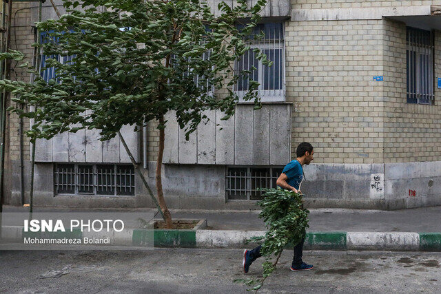 وزش باد شدید در همه نقاط کشور