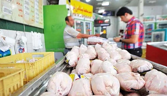 ارسال ۵۱۲ تن گوشت مرغ مازندران در تهران؛ تأمین پایدار بازار با نظارت دقیق