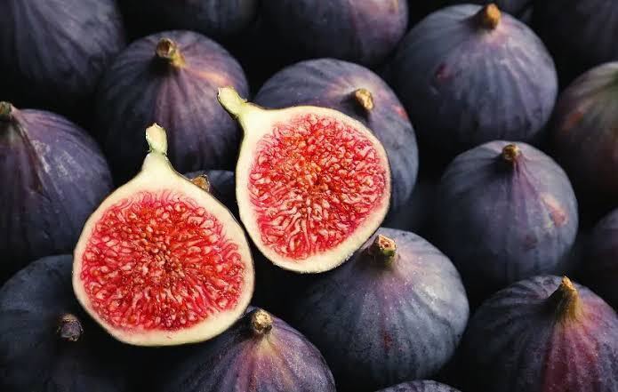 گلوگاه میزبان دهمین جشنواره انجیر
