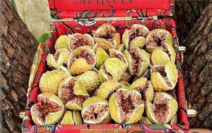 پیام مازند