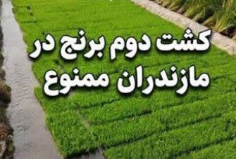 تاکید بر ممنوعیت کشت دوم برنج در مازندران