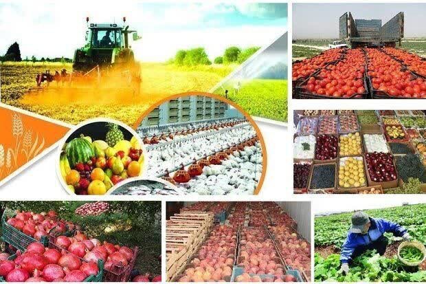 تشریح برنامه‌های هفته تعاون در مازندران