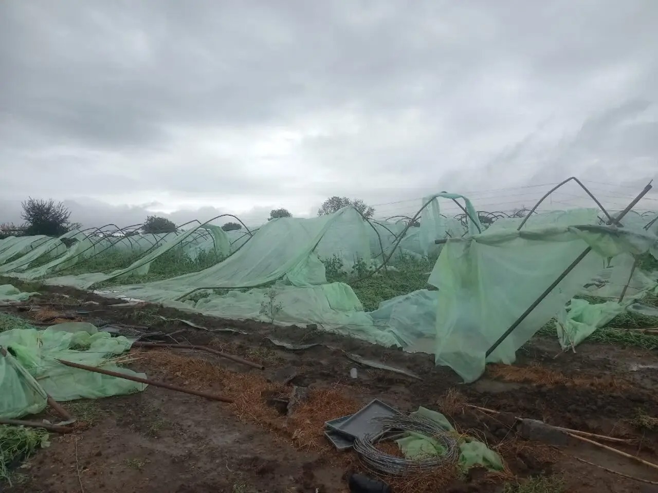🎬شناسایی دقیق خسارت‌ها، تسریع در رسیدگی و فراهم‌کردن زمینه جبران خسارت ها