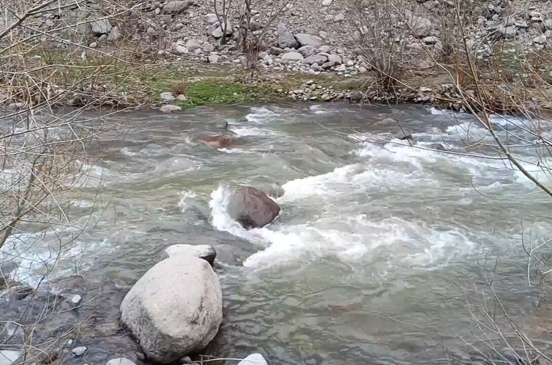 مسیرهای هدایت آب در پارک جنگلی نور ساماندهی می‌شود