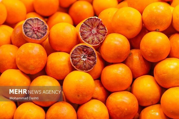 پیش‌بینی برداشت ۵۵ هزار تن پرتقال از باغ‌های آمل
