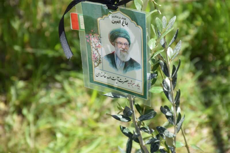 نهال‌کاری ۱۶۰ هکتاری در سواحل غرب مازندران