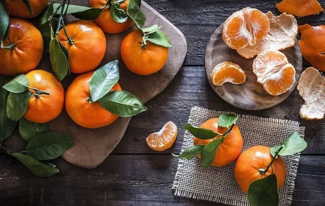 پیش‌بینی برداشت بیش از ۶۲ هزار تن نارنگی پیش‌رس در میاندورود استان مازندران