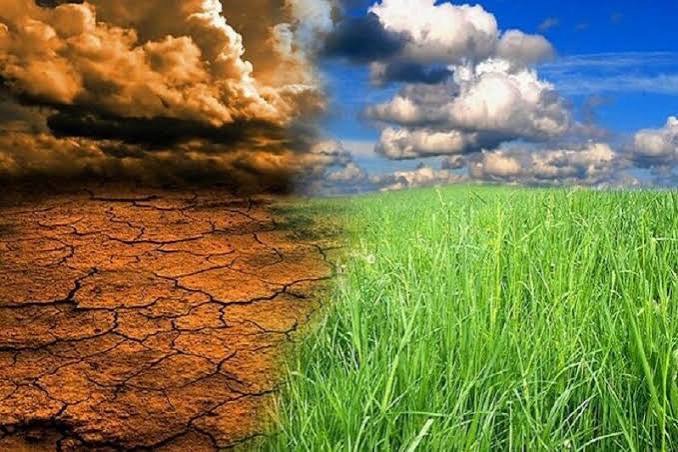 آموزش مدیریت بحران در ۷۳ مرکز جهاد کشاورزی مازندران