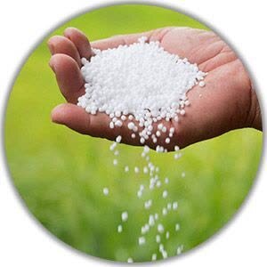 پیام مازند