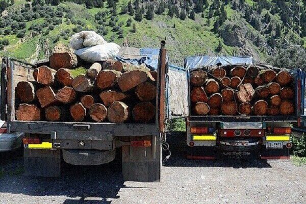 مهارآتش جنگل و توقیف محموله‌های چوب غیرمجاز در مازندران