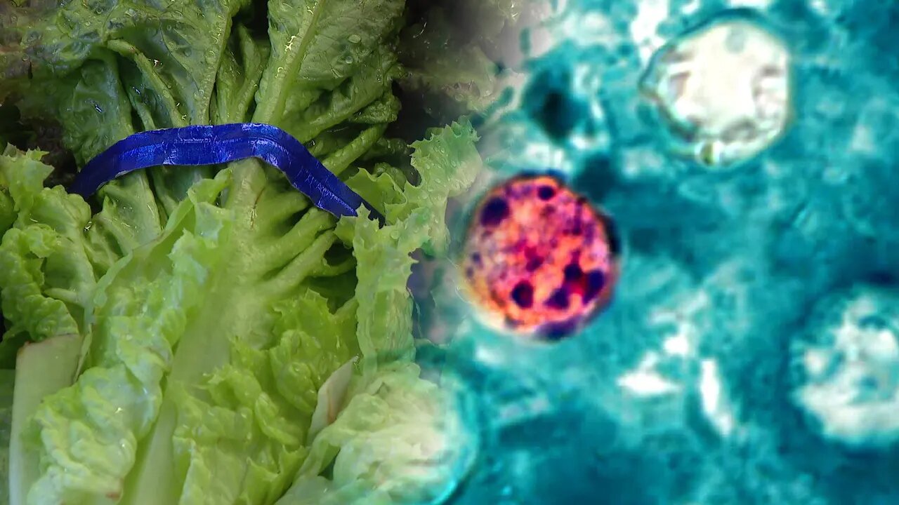 پیام مازند