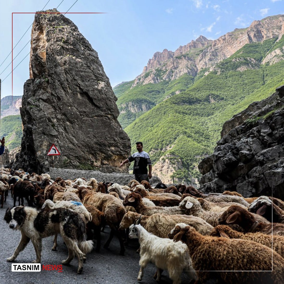 جاده چالوس بازگشایی شد