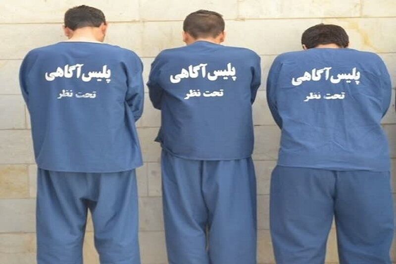 ۷۰ گروه سرقت در مازندران متلاشی شد