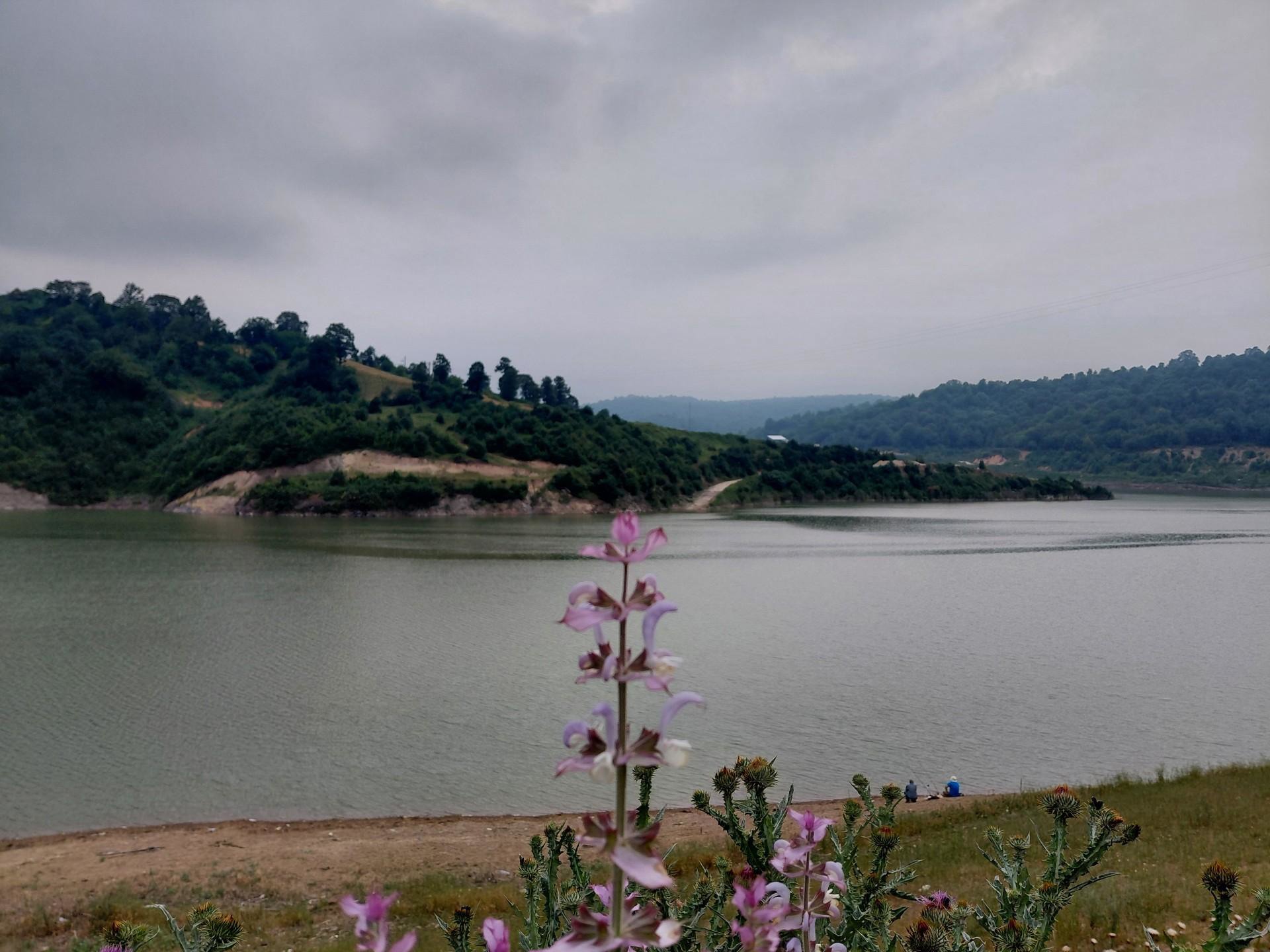 کشاورزان، محور اصلی مدیریت مشارکتی آب در شرق مازندران