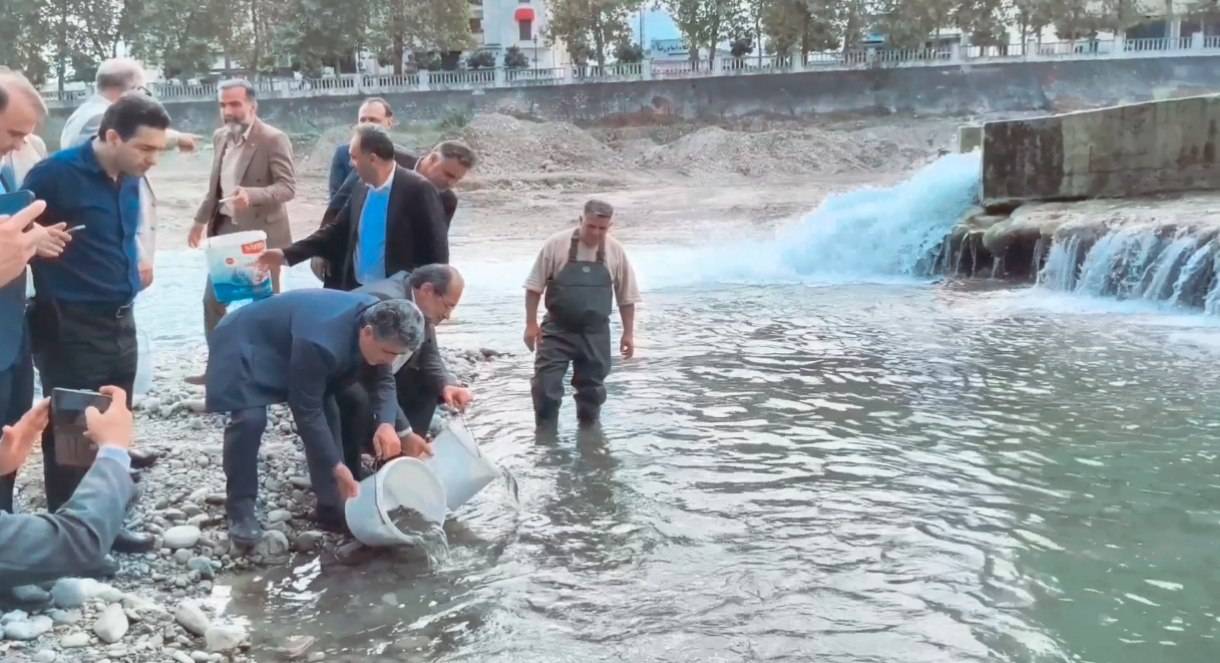 پیام مازند