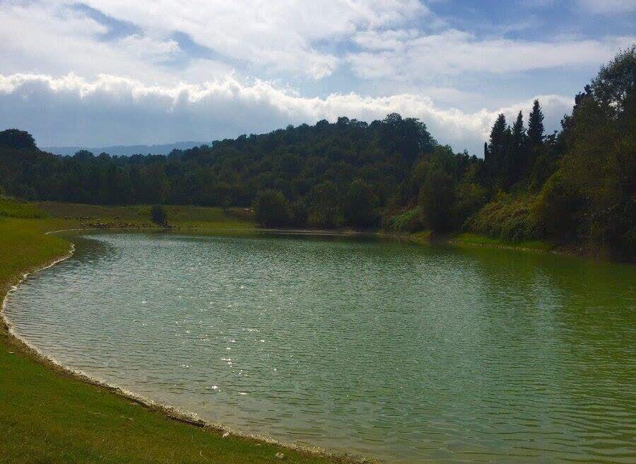 پیام مازند
