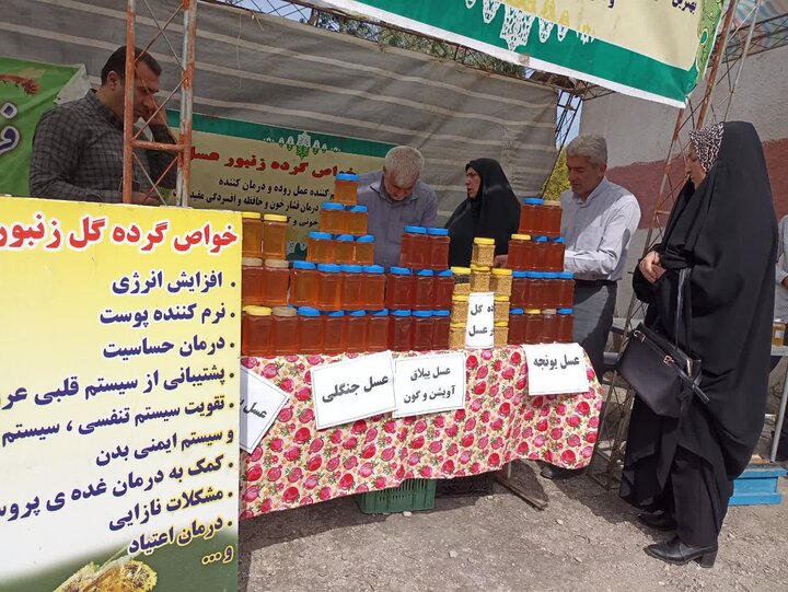 پیام مازند