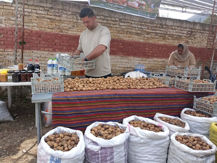 پیام مازند