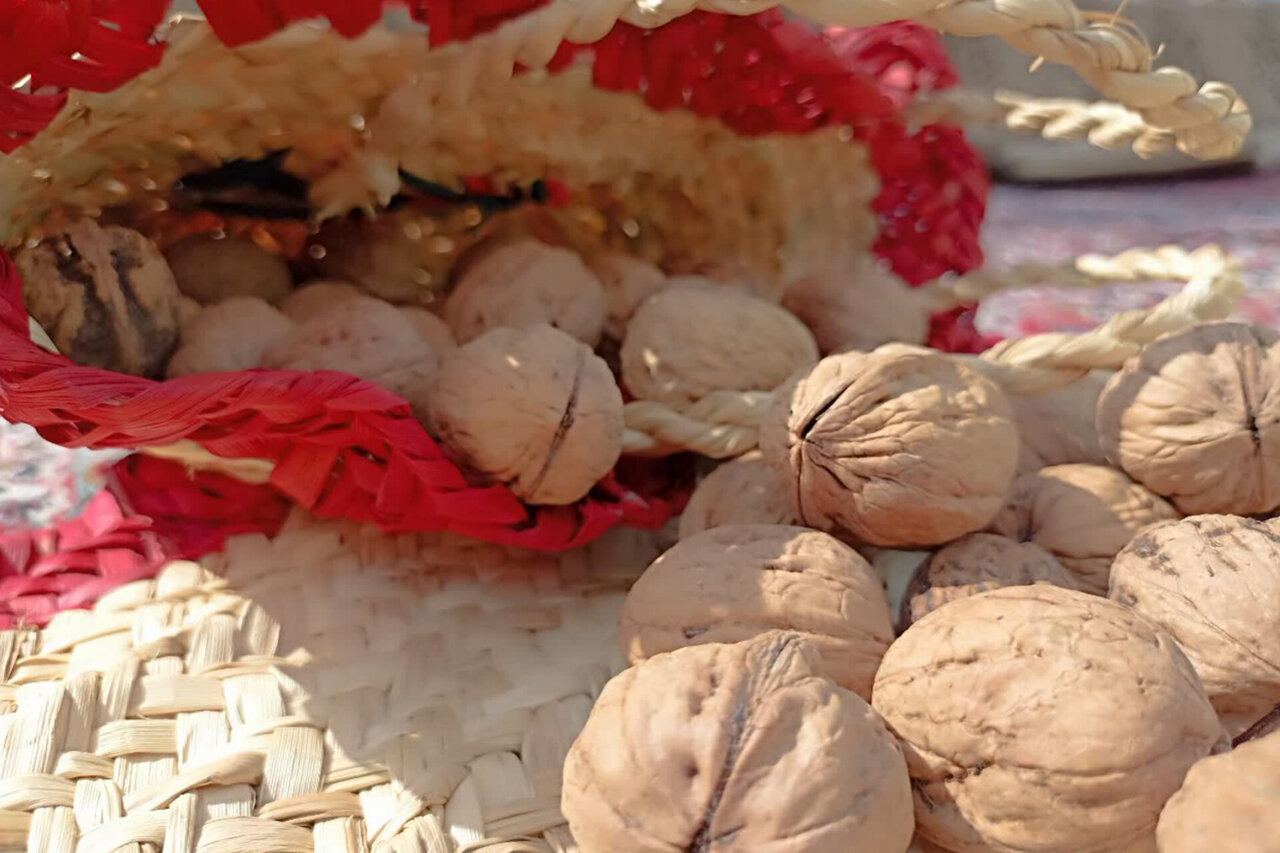 عسل و گردوی سوادکوه در جستجوی بازار