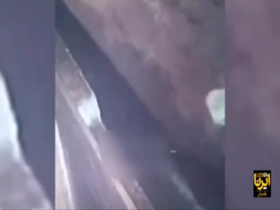 شکار سگ خانگی توسط پلنگ در منطقه مسکونی بندپی نوشهر