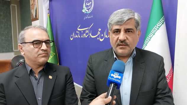 مازندران پیشگام در حوزه بیمه کشاورزی