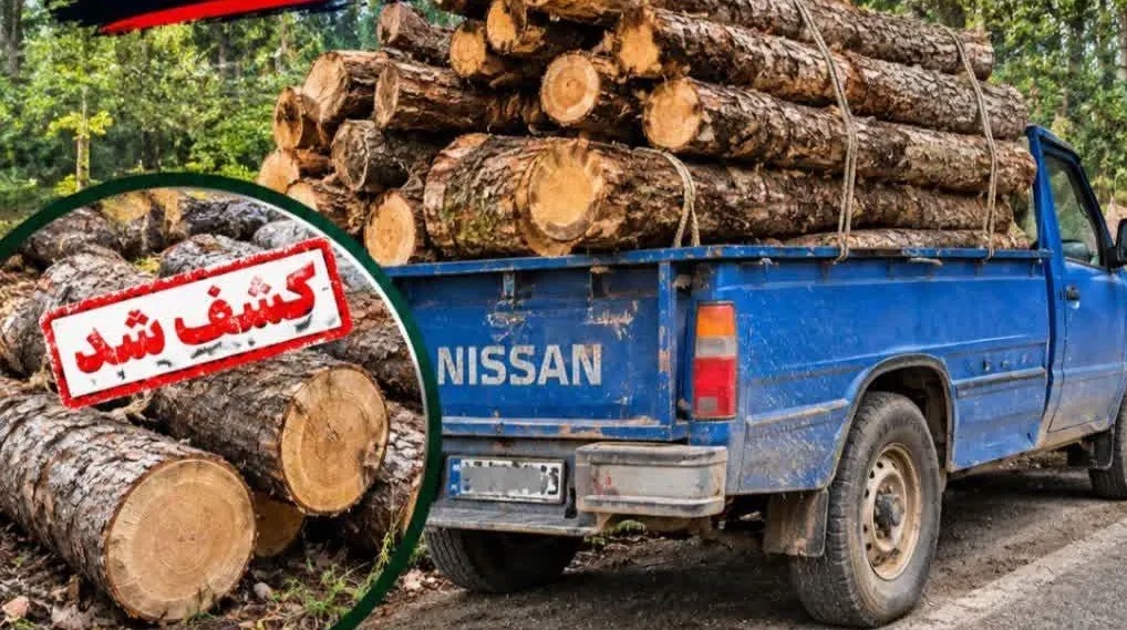 کشف ۲ تن چوب جنگلی قاچاق در ساری
