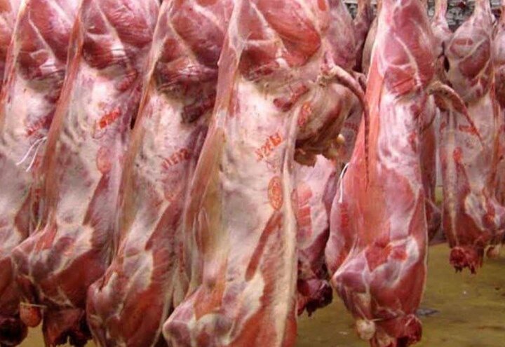 دامداران گچسارانی ۸۷۰ تن گوشت قرمز روانه بازار کردند